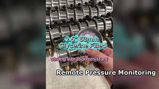 حافظة من الفولاذ المقاوم للصدأ مقاس 2.5 بوصة، ومملوءة بالغليسيرين