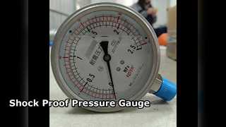 100 مم 4 بوصة جميع SS 0-2.5MPa