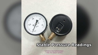 علبة من الفولاذ الأسود مقاس 4 بوصات 100 مم، وأجزاء داخلية من النحاس وخيط، 0~1.6MPa.M20*1.5 قرص عمودي.